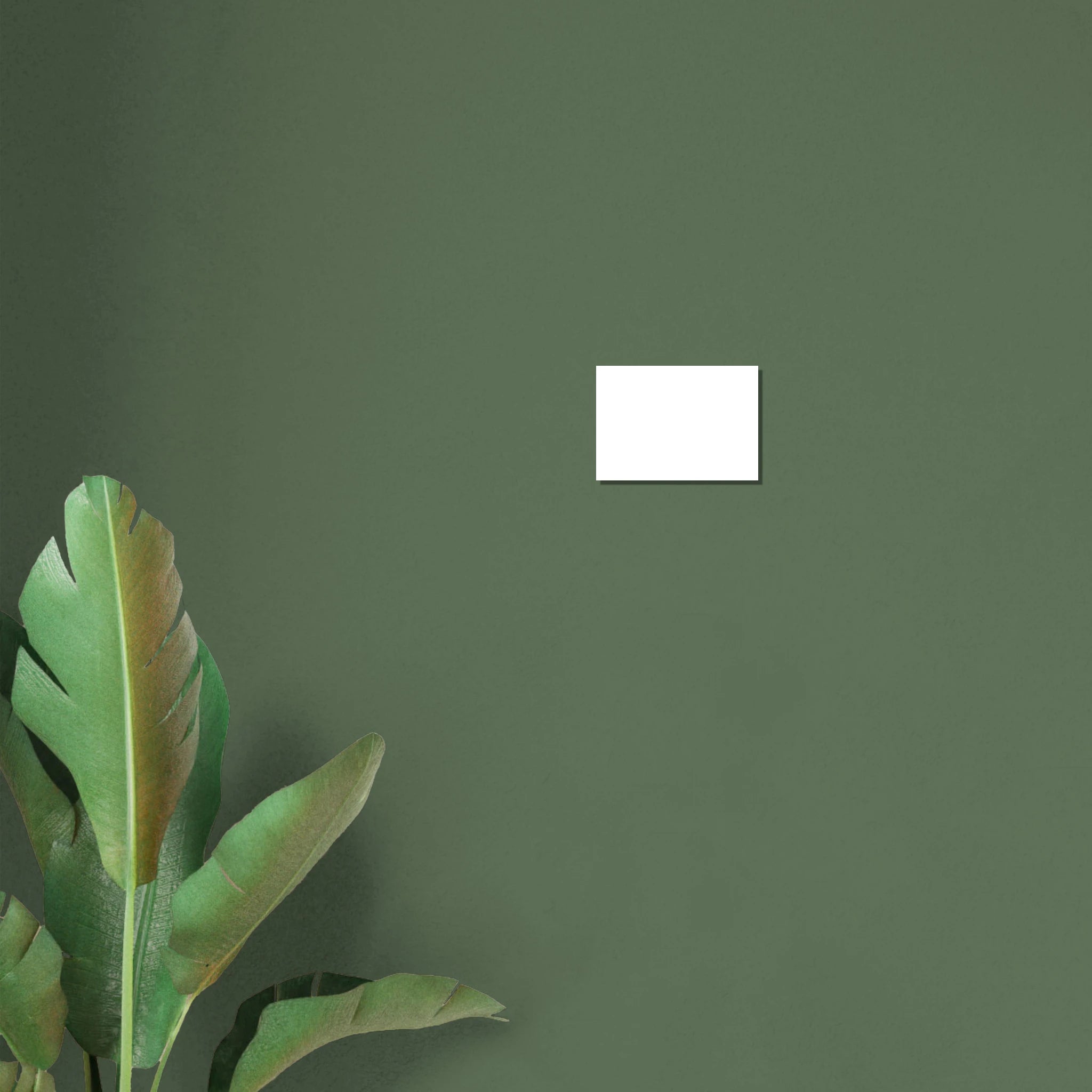 0d93cec8-a3e8-4d0e-84ae-20cac6a63fff